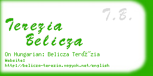 terezia belicza business card